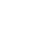 logo-areon